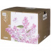 Чайный сервиз Lefard Lilac на 6 персон (14 предм.) 250 мл фарфор белый 760-755